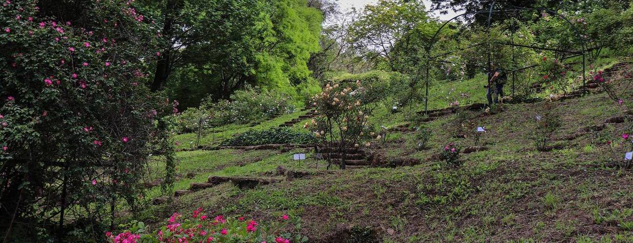 Visita all'Orto Botanico di Roma - Università Popolare Eretina